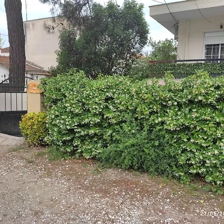 Olivia - Melina's Near The Sea Apartment